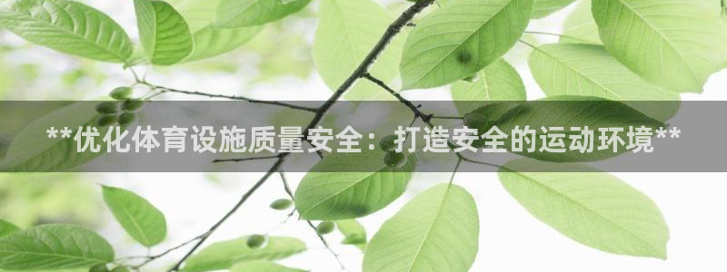 意昂体育3联系电话：**优化体育设施质量安全：打造安