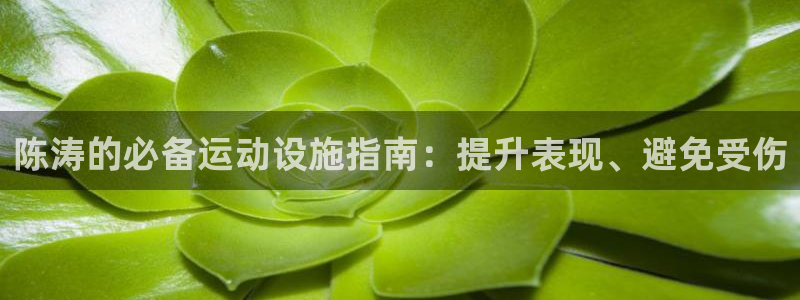 意昂体育3招商电话是多少号码：陈涛的必备运动设施指南：提升表