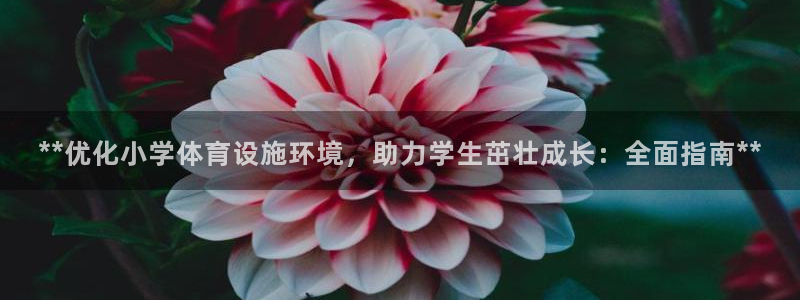意昂3娱乐是那个系列的台子：**优化小学体育设施环境，助力学