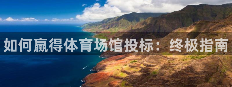 意昂体育3开户：如何赢得体育场馆投标：终极指南