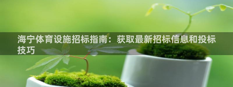 意昂体育3官方客服电话：海宁体育设施招标指南：获取最新招标信
