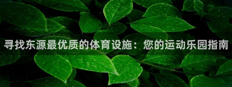 意昂3娱乐：寻找东源最优质的体育设施：您的运动乐园指