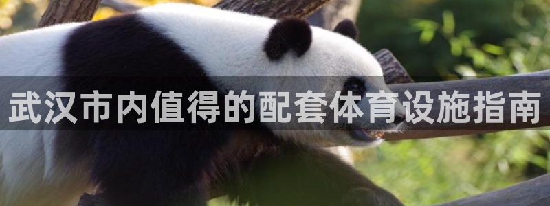 意昂体育3娱乐