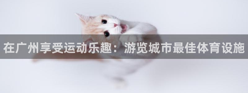 意昂3神州：在广州享受运动乐趣：游览城市最佳体育设施 