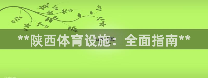 意昂体育3开户：**陕西体育设施：全面指南**