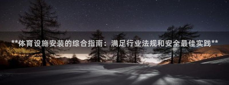 意昂体育3平台：**体育设施安装的综合指南：满足行业法规和安