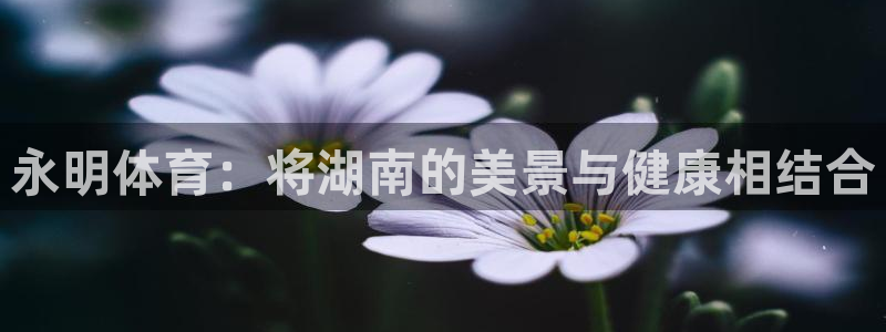 意昂3官方