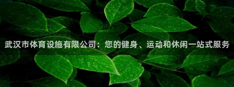 意昂3集团官网网址：武汉市体育设施有限公司：您的健身、运动和