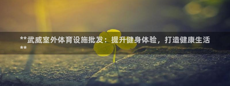 意昂体育3开户：**武威室外体育设施批发：提升健身体验，打造