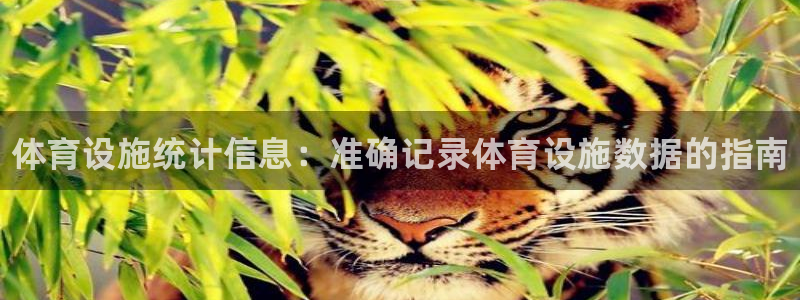 意昂3娱乐网站：体育设施统计信息：准确记录体育设施数据的指南