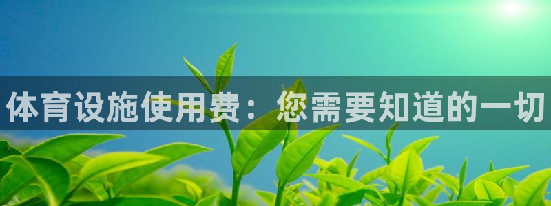 意昂3娱乐是那个系列的台子：体育设施使用费：您需要知道的一切