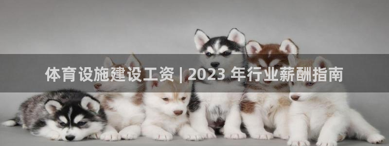 意昂平台体育：体育设施建设工资 | 2023 年行业薪酬指南