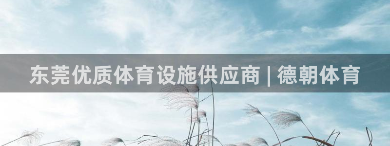 意昂体育3联系电话：东莞优质体育设施供应商 | 德朝体育