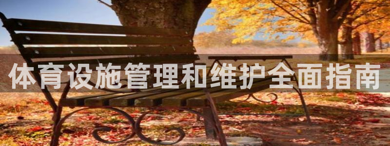 意昂3娱乐40996：体育设施管理和维护全面指南