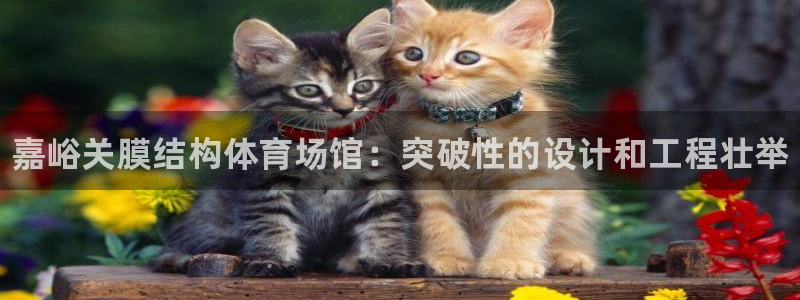 意昂体育3平台注册：嘉峪关膜结构体育场馆：突破性的设