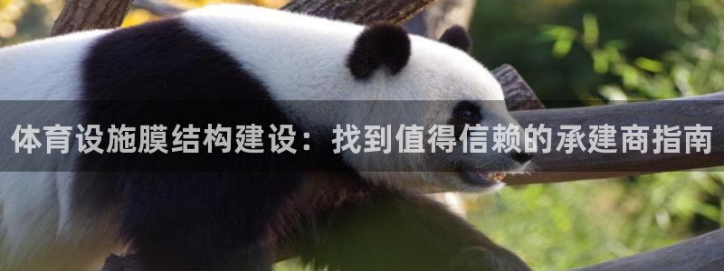 意昂体育3招商电话号码是多少啊：体育设施膜结构建设：找到值得