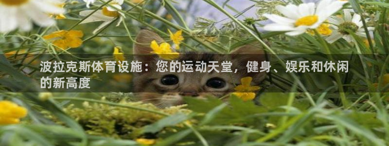 海南意昂体育3发展怎么样：波拉克斯体育设施：您的运动天堂，健