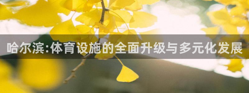 意昂3神州：哈尔滨:体育设施的全面升级与多元化发展