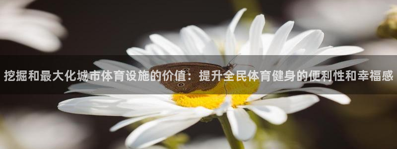 意昂3神州：挖掘和最大化城市体育设施的价值：提升全民