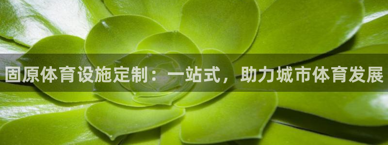 德国意昂3集团：固原体育设施定制：一站式，助力城市体