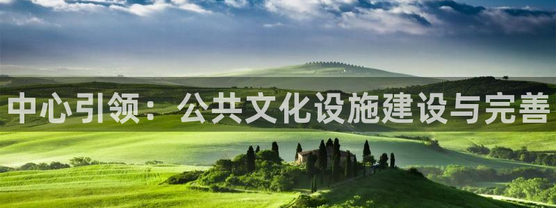 意昂3娱乐下载：中心引领：公共文化设施建设与完善