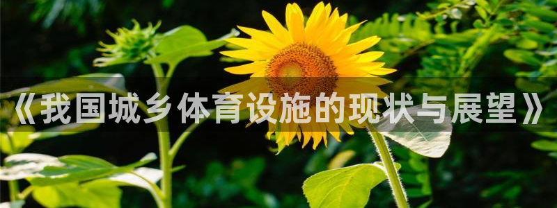 意昂体育3注册：《我国城乡体育设施的现状与展望》