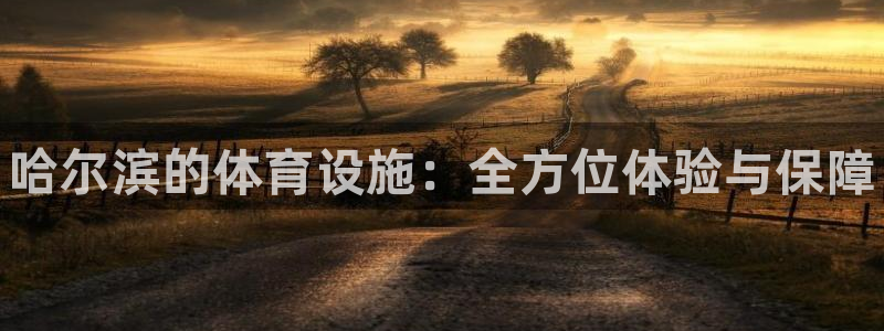 意昂体育3平台：哈尔滨的体育设施：全方位体验与保障