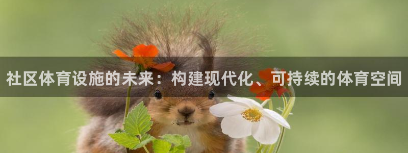 意昂3新能源：社区体育设施的未来：构建现代化、可持续