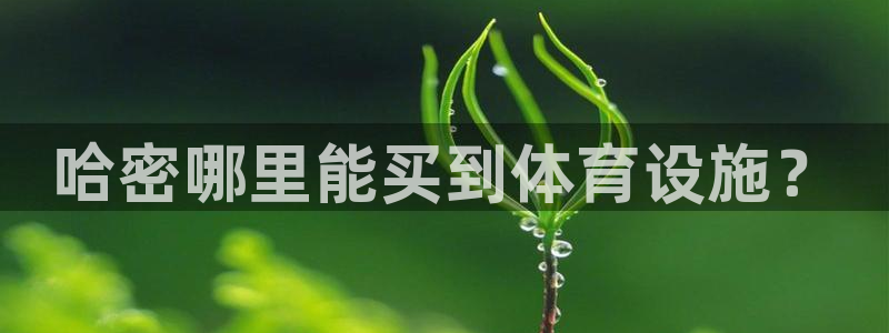 意昂3集团：哈密哪里能买到体育设施？