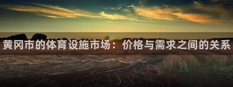 意昂体育3招商电话是多少啊：黄冈市的体育设施市场：价格与需求 