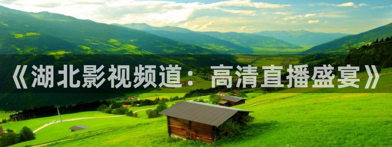 宅男视频直播