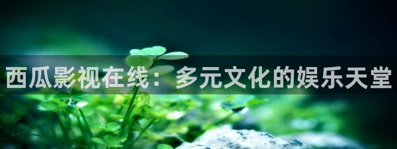 宅男视频导航大全