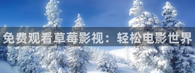 宅男视频天堂