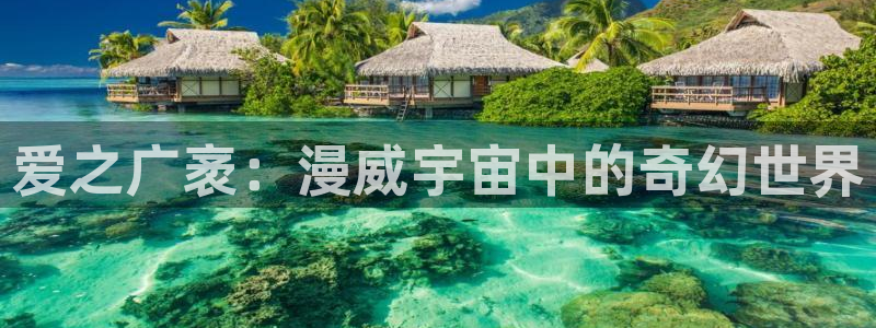 宅男视频官网
