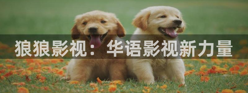 宅男视频k频道